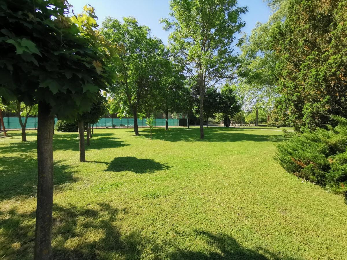 Laguna Panzio Gárdony Exteriör bild